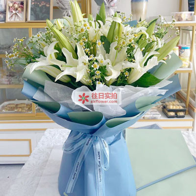 嘉兴8支白色多头百合洋甘菊，互倾的思念